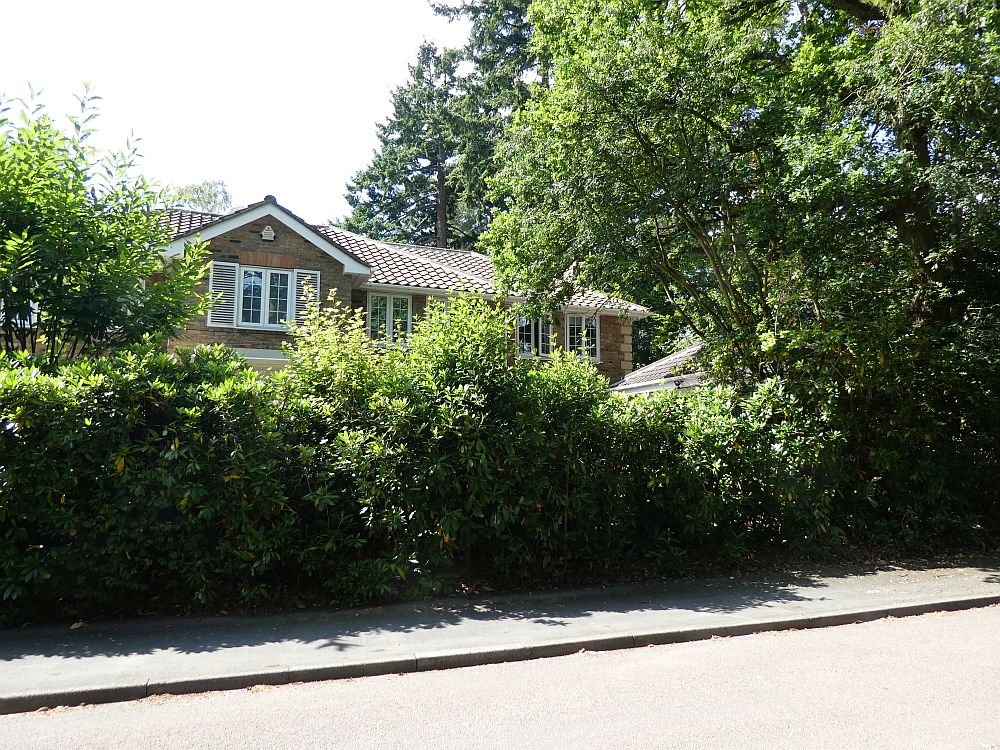 Winding Wood Drive Cover Storey Architects LLP