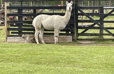 Aldingbourne Country Centre